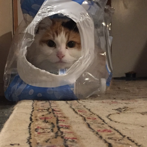 Meet your Posher, Scott - Picture 1 of 1